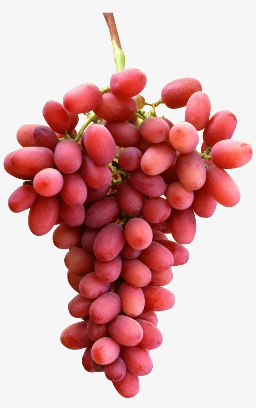 Crimson Seedless Tüplü Fidan, transparent png