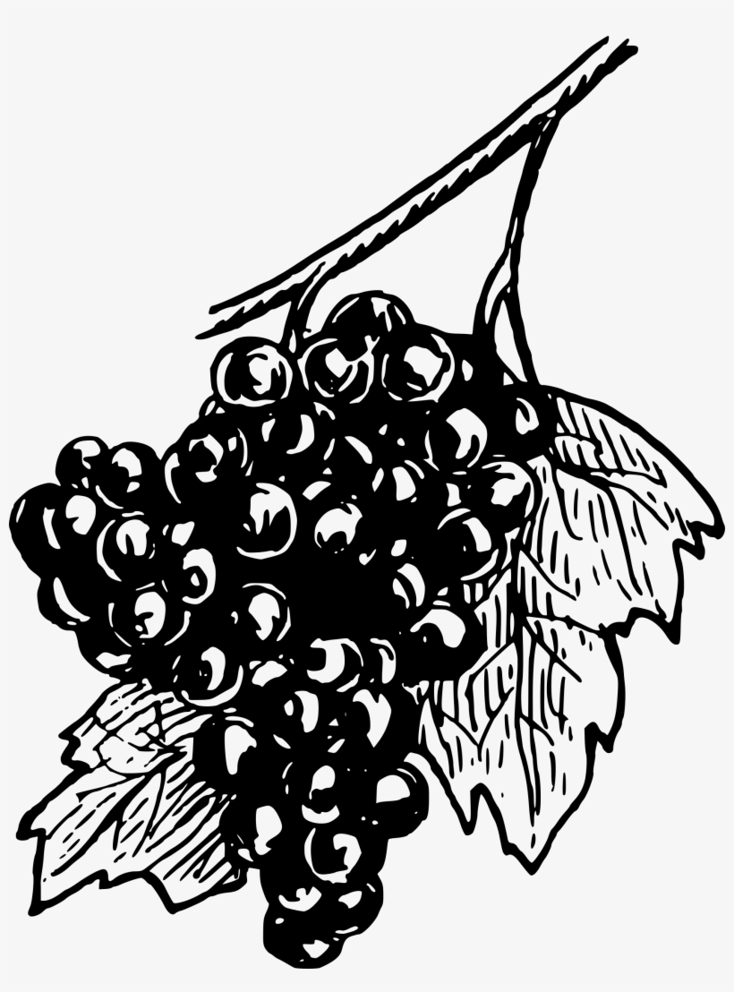 Big Image - White Wine Grapes Black And White, transparent png