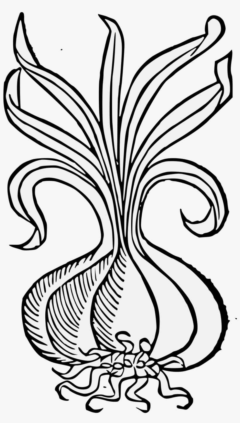 Details, Png - Illustration, transparent png