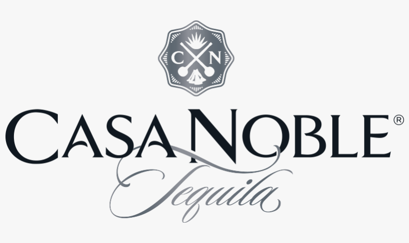 Web Png-csn 2 Color With Gradients Horizontal Logo - Graphics, transparent png