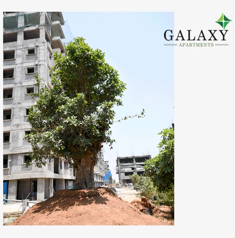 Project Status - - Penthouse Apartment, transparent png