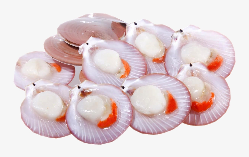 Image01 - Pt Prima Cakrawala Abadi, transparent png