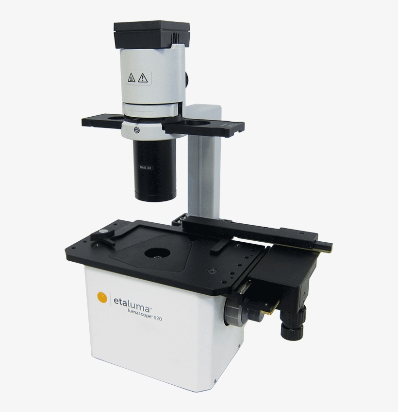 4-channel Ls620 Microscope - Lumascope 620, transparent png