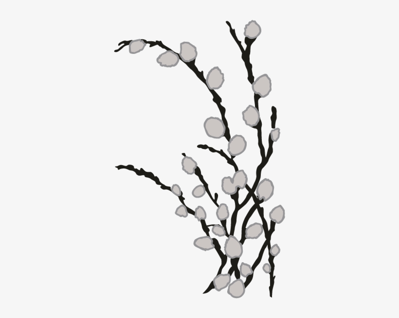 Smock Pussy Willow Motif - Illustration, transparent png