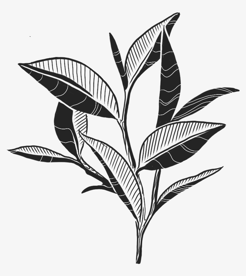 Cranford's Tea Trader Promotes Peace And Happiness - Monochrome, transparent png