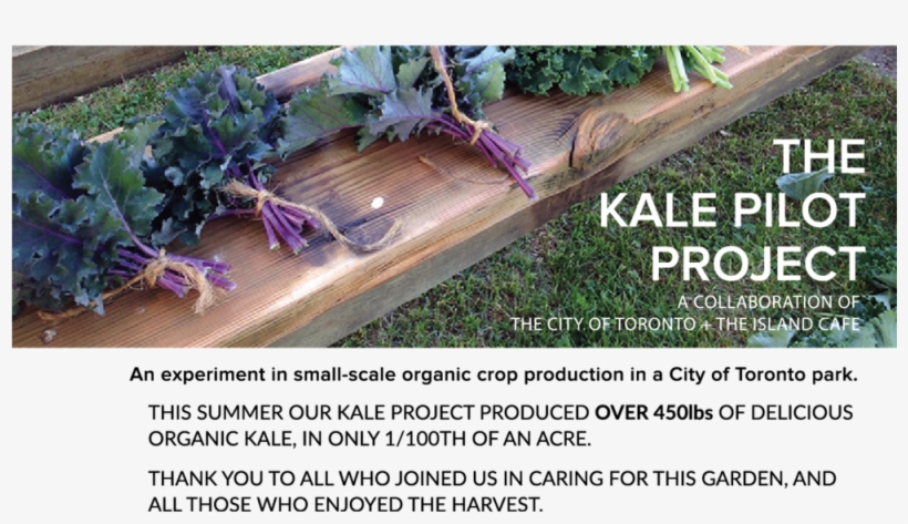 Kale Project Fall, transparent png
