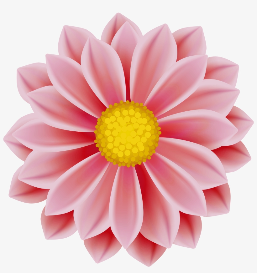 Dahlia Flower Clipart Portable Network Graphics 4857x5000 Png Download Pngkit