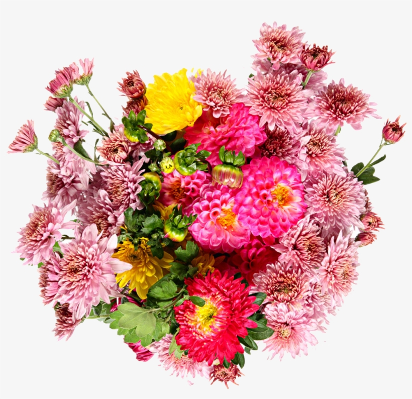 Photography, transparent png