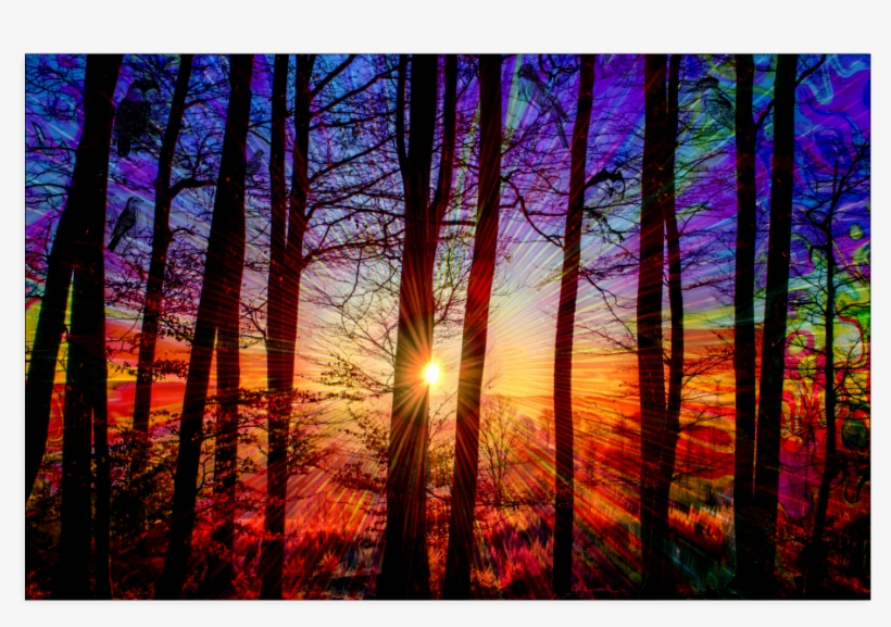 Jud Hayden Art - Sunset, transparent png