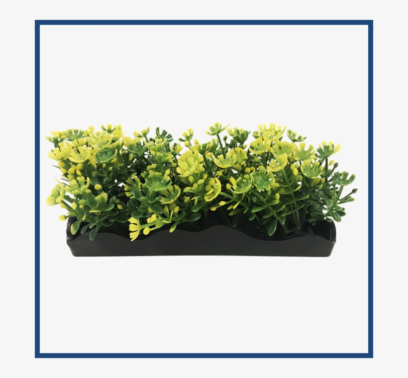 View Larger, transparent png