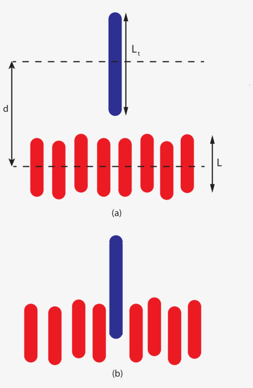 Schematic Illustration Of The Process Modeled In This - Diagram, transparent png