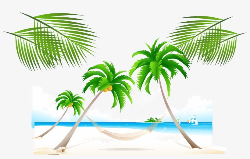 Trees On The Beach Clipart, transparent png