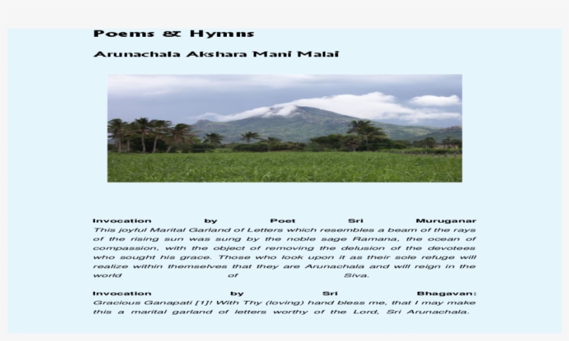 Plantation, transparent png