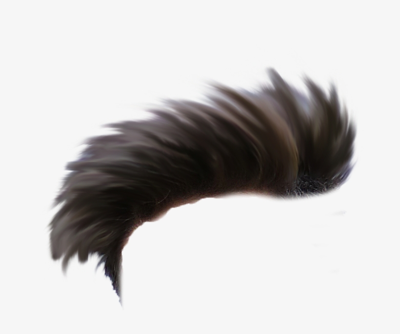 All Heir Png - Hair Png One Side, transparent png