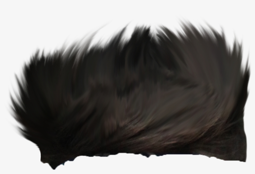 Model ➤ Download - Lace Wig, transparent png