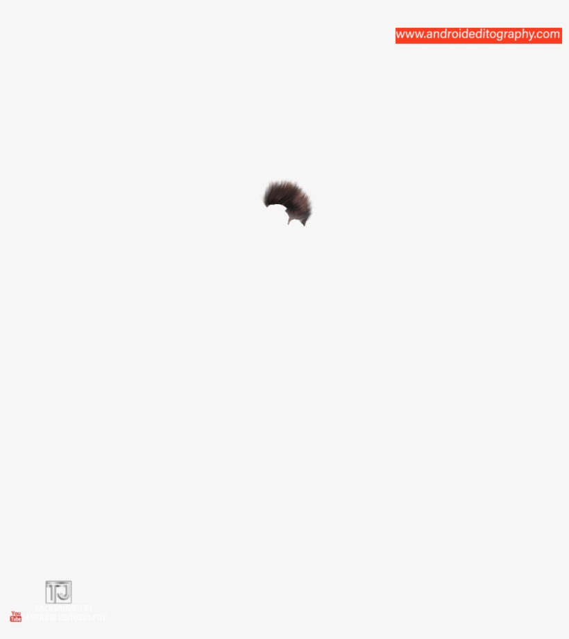 Hair Png - Pyrrharctia Isabella, transparent png