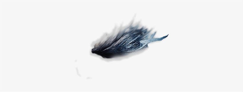 Eyebrows Png ➤ Download - Belted Kingfisher, transparent png