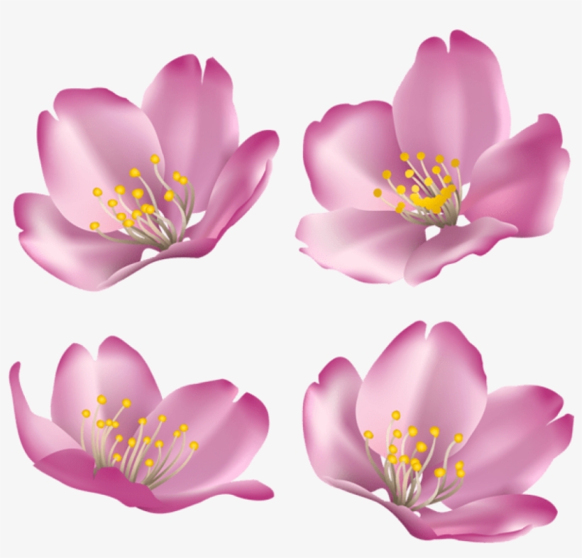 Download Flowers For Decoration Clipart Png Photo - Rosa Rubiginosa, transparent png
