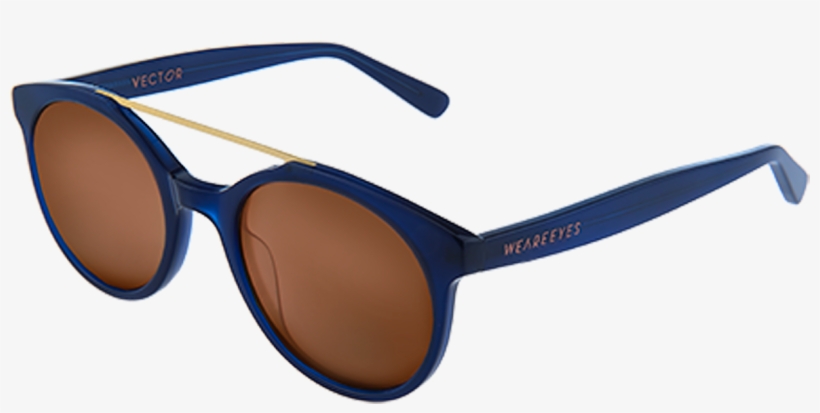 Vector Blue With Brown Lenses By Weareeyes Product - Occhiali Dolce E Gabbana Foglia Oro, transparent png