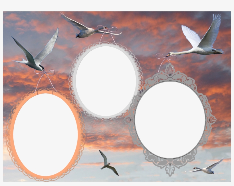 Avant Que Le Travail Au Jardin Recommence Et Entre - Montage Cadre Photo Png, transparent png