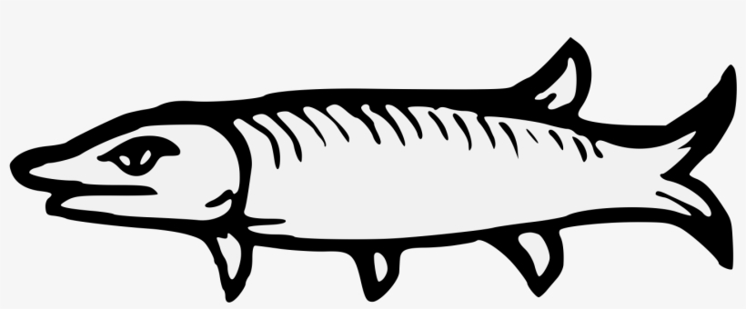 Details, Png, transparent png