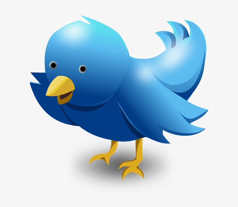 Internet Marketing And At A Certain Moment My Attention - Transparent Background Dead Twitter Bird, transparent png