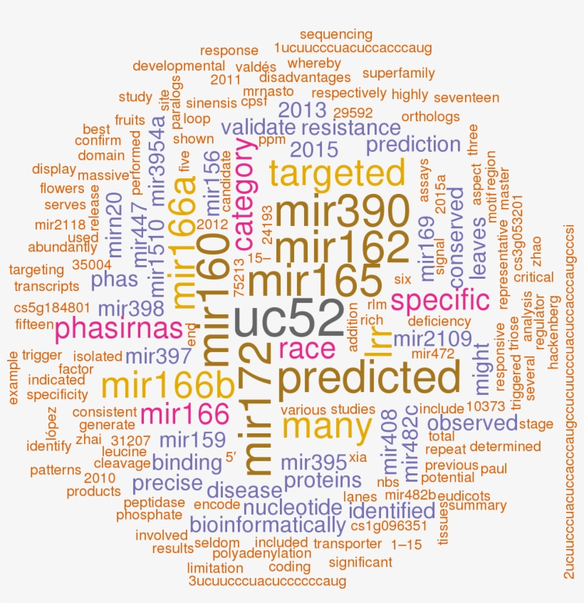 Stem Loop Sequence Csi Mir482a - Theme Park Words, transparent png