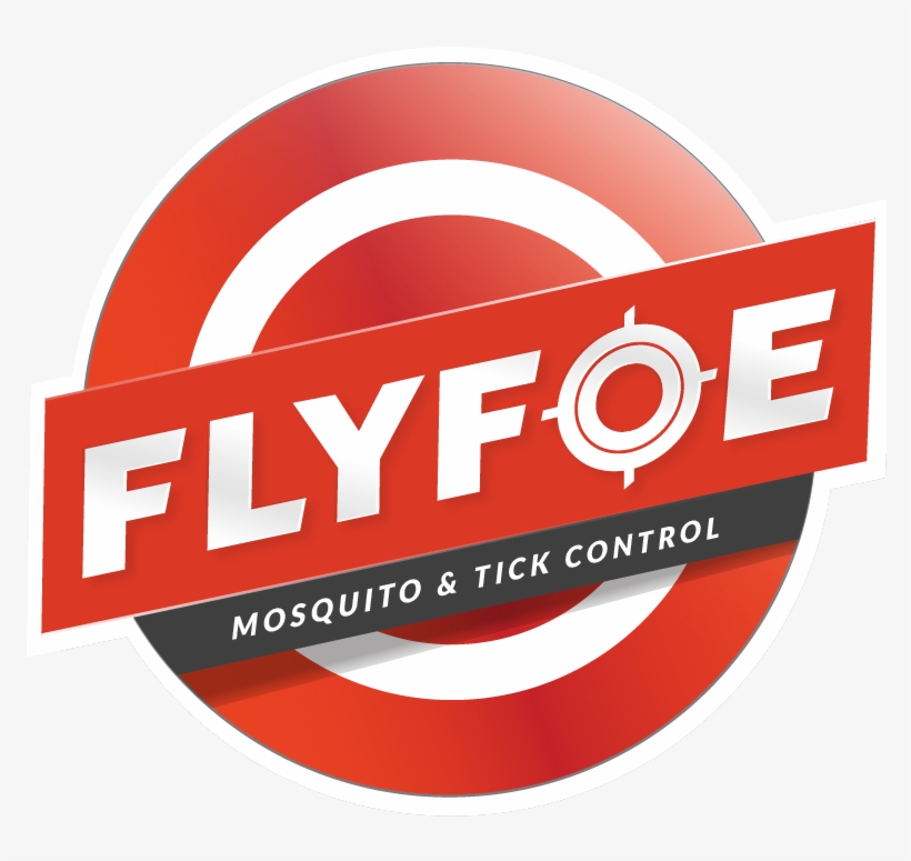 Circle, transparent png