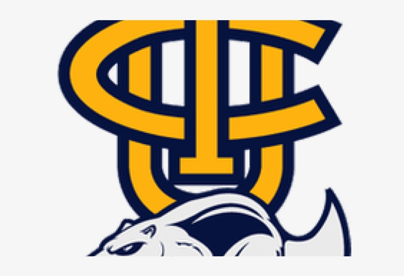 Anteater Clipart Uci - University Of California, Irvine, transparent png