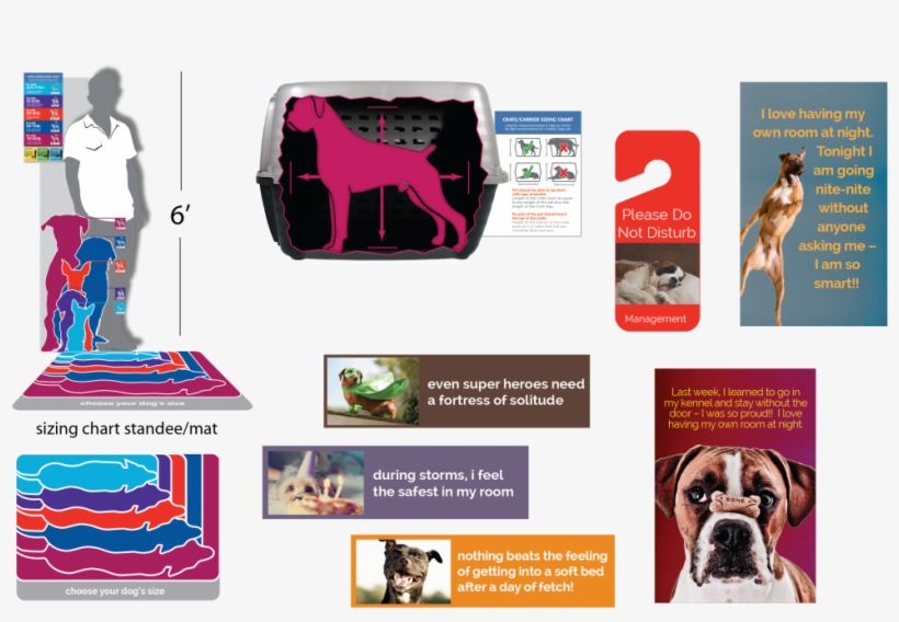 The Exercise Was Such A Success That Petsmart Asked - Boxer, transparent png