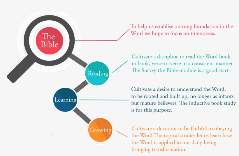 Discipleship Is Important Yet Few Believers Are Discipled - Vector Graphics, transparent png