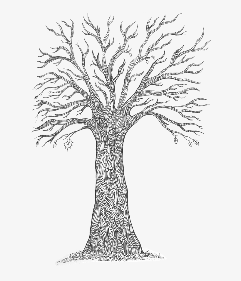 This Was Due To Fear That The Resolution Of The Scanned - Pond Pine, transparent png