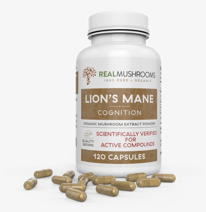 Lions Mane Extract - Cordyceps-m 60g Bulk Powder, transparent png