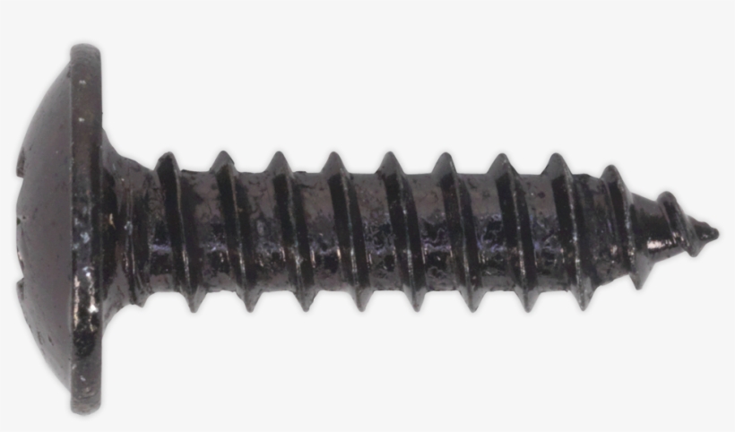 Bst4216 Sealey Self Tapping Screw - Lawn Aerator, transparent png