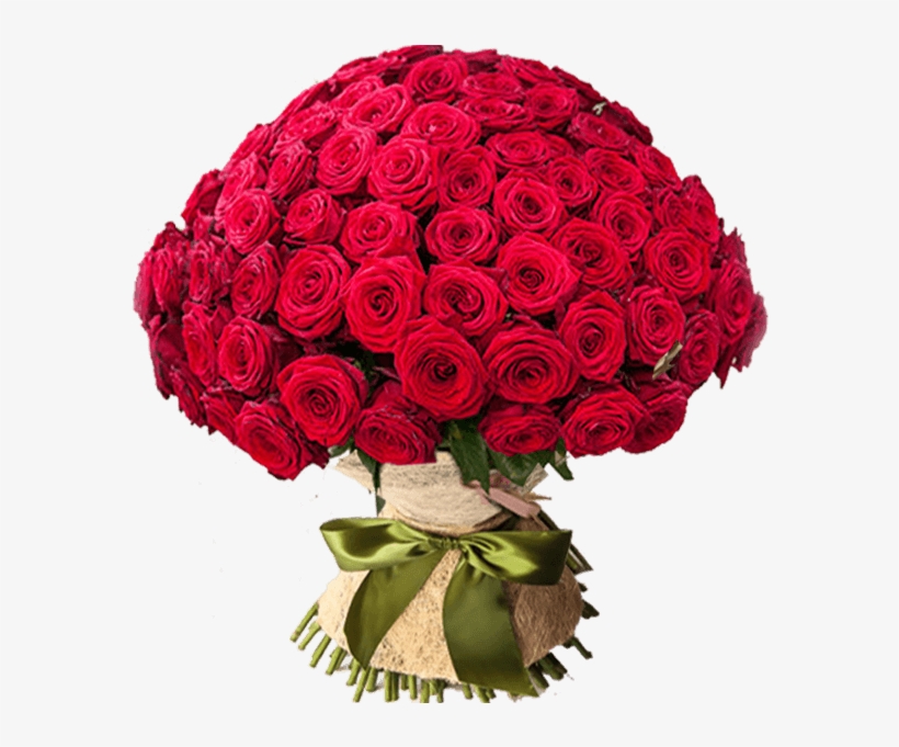 Angel - 101 Roses Red, transparent png