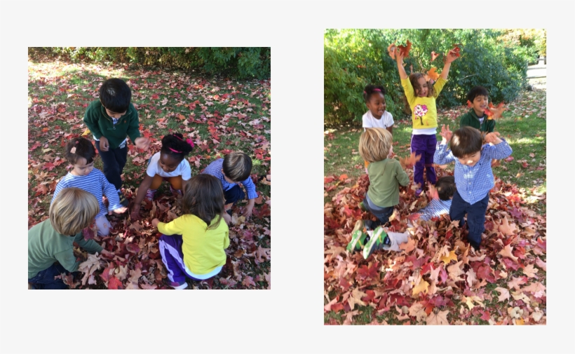 The Toddlers Used First Their Hands, Then Rakes And - Child, transparent png