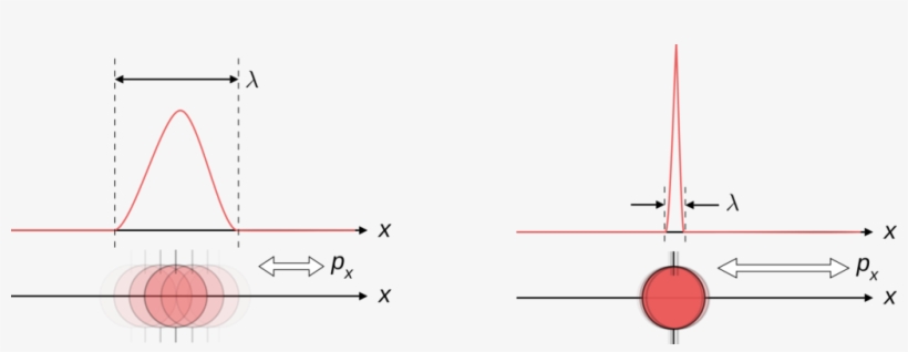 Therefore, The Particles Like Bacteria Also Show The - Heisenberg Indetermination, transparent png