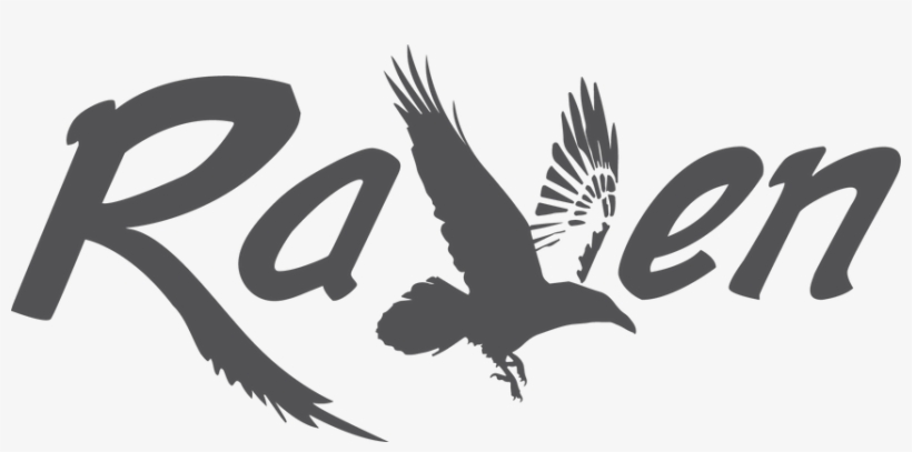 Hawk, transparent png