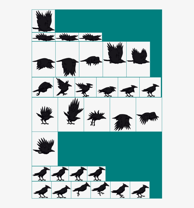 Crow, transparent png