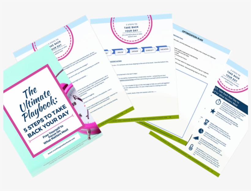 Spam Is Stupid - Brochure, transparent png