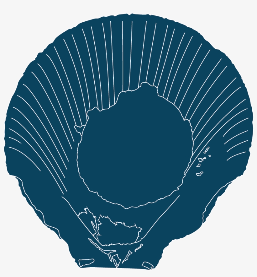 Several Species Occur Off The Coast Of Western Australia, transparent png