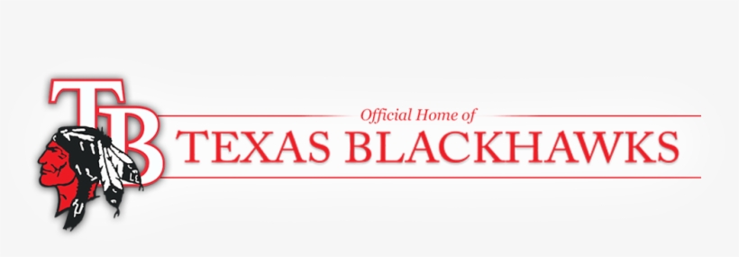 Scouts Seeking Information - Dwight Look College Of Engineering, transparent png