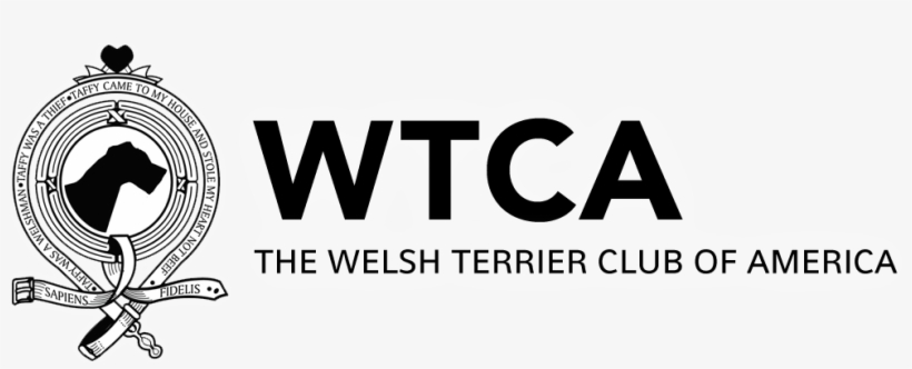 The Wtca - Graphics, transparent png