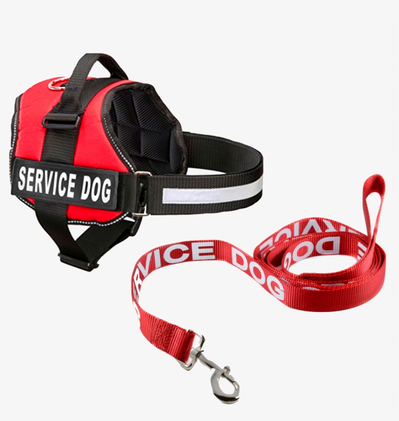 Would You Like To Add A Marked Vest And Leash* - Service Animal Vest, transparent png