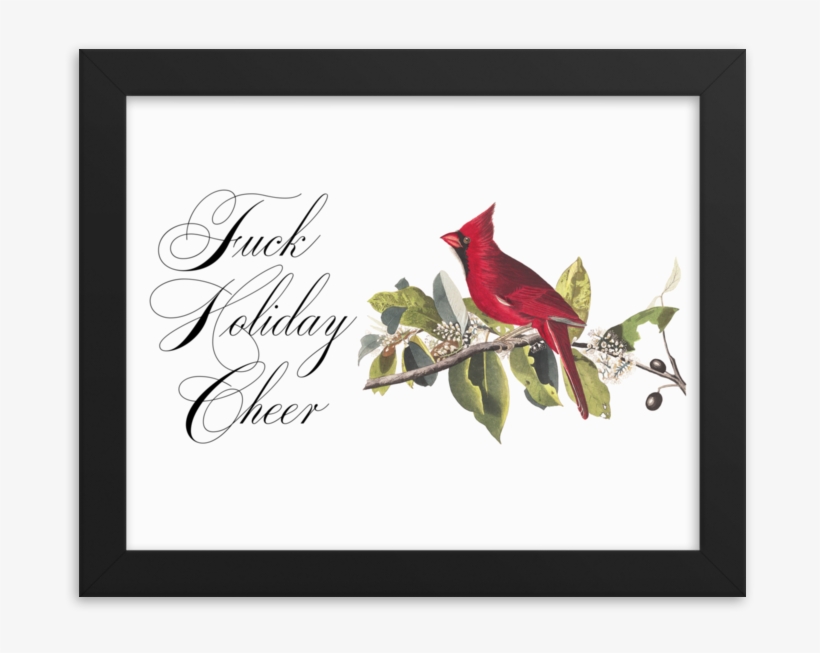 Holiday Cheer Framed - The Birds Of America, transparent png