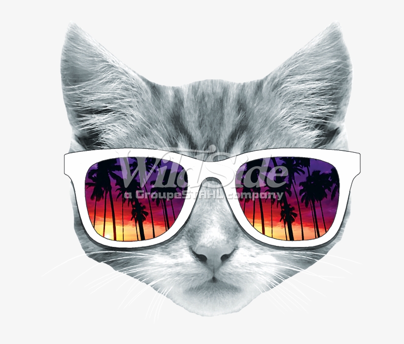 Kitty With Sun Glasses - Cat Face Transparent Background, transparent png