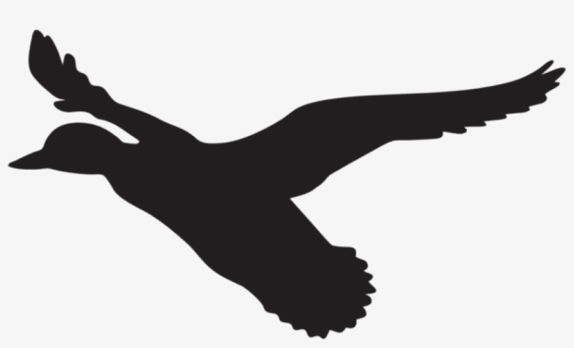 Flying Duck Silhouette Png, transparent png