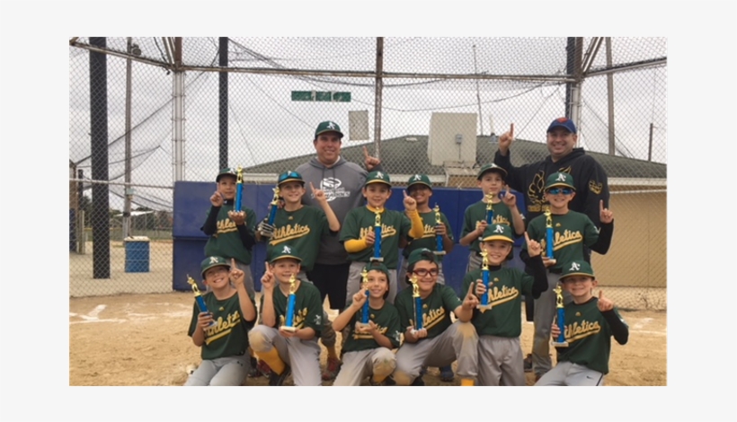 Baseball - College Softball, transparent png