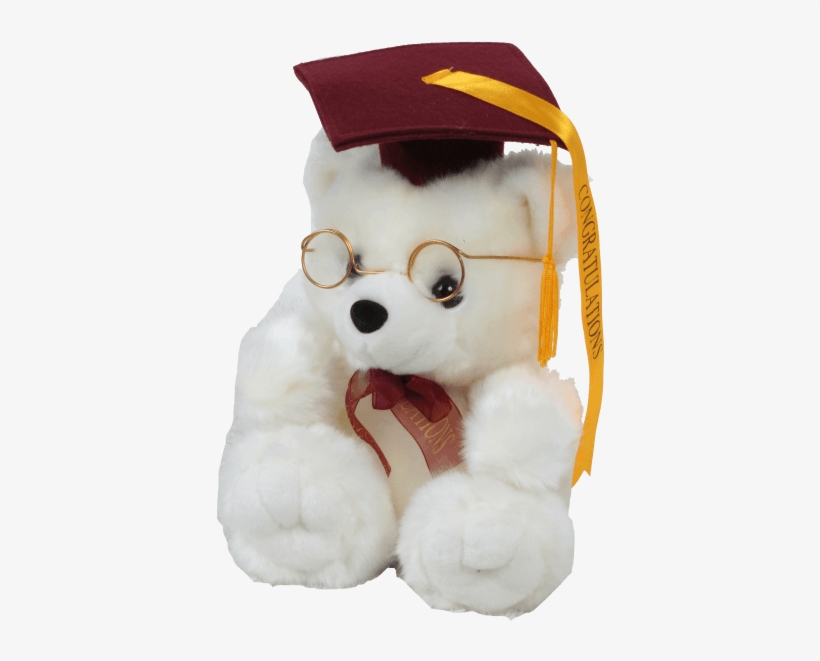 Grad Bear - Stuffed Toy, transparent png