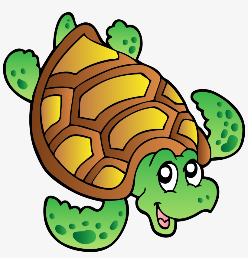 Turtle Cartoon Drawing - Sea Turtle Cartoon, transparent png
